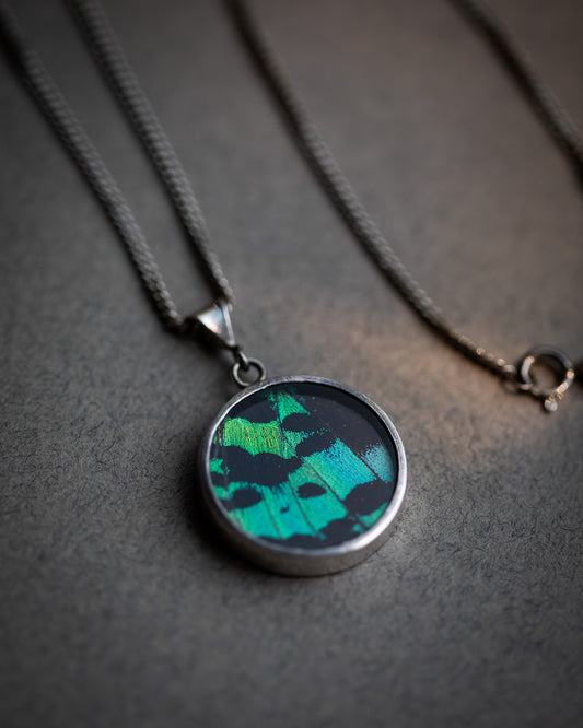 BUTTERFLY WING NECKLACE