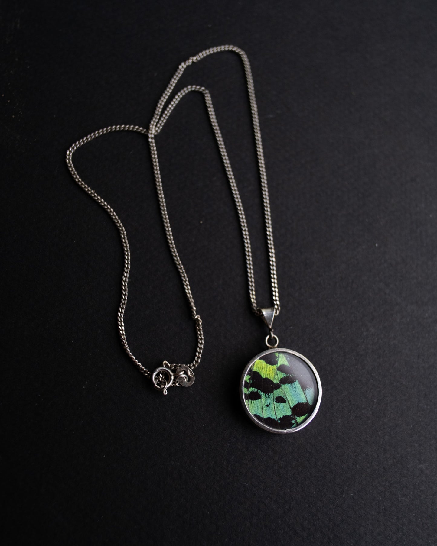 BUTTERFLY WING NECKLACE