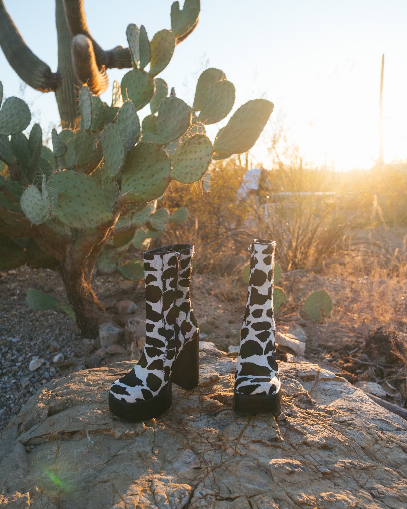 MAD COW BOOTS – Knockout